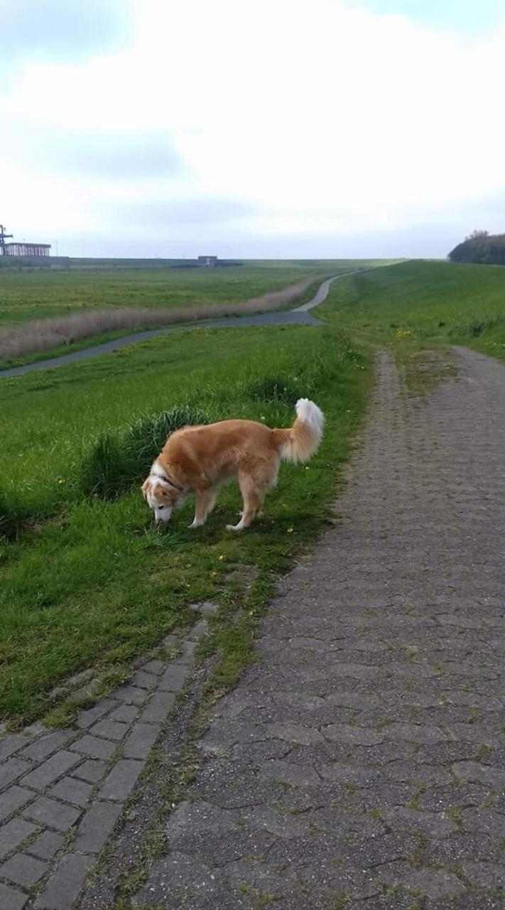 Fewo Kroker Bremerhaven Buitenkant foto